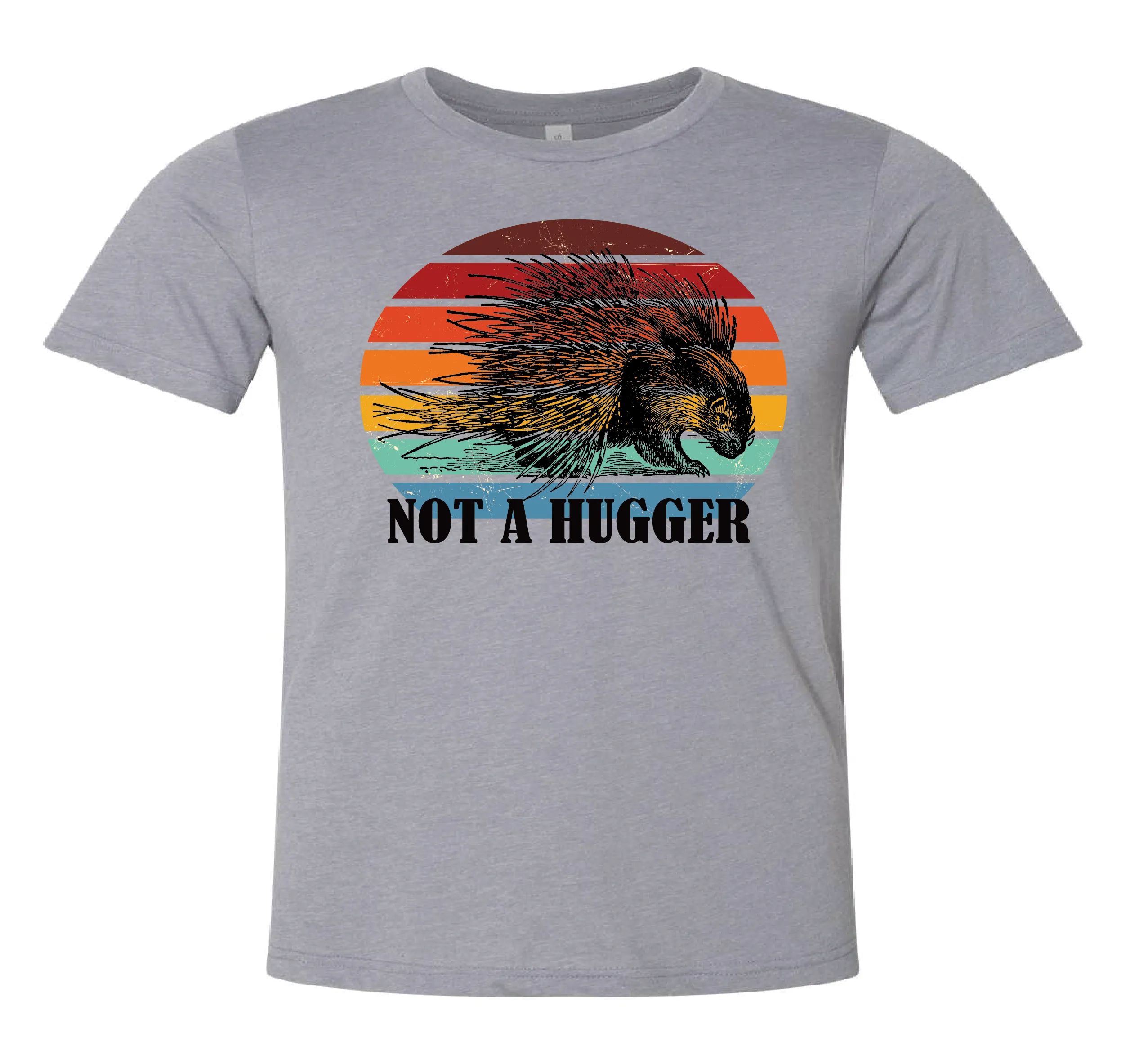 1322 Not a Hugger Porcupine DTF/Sublimation