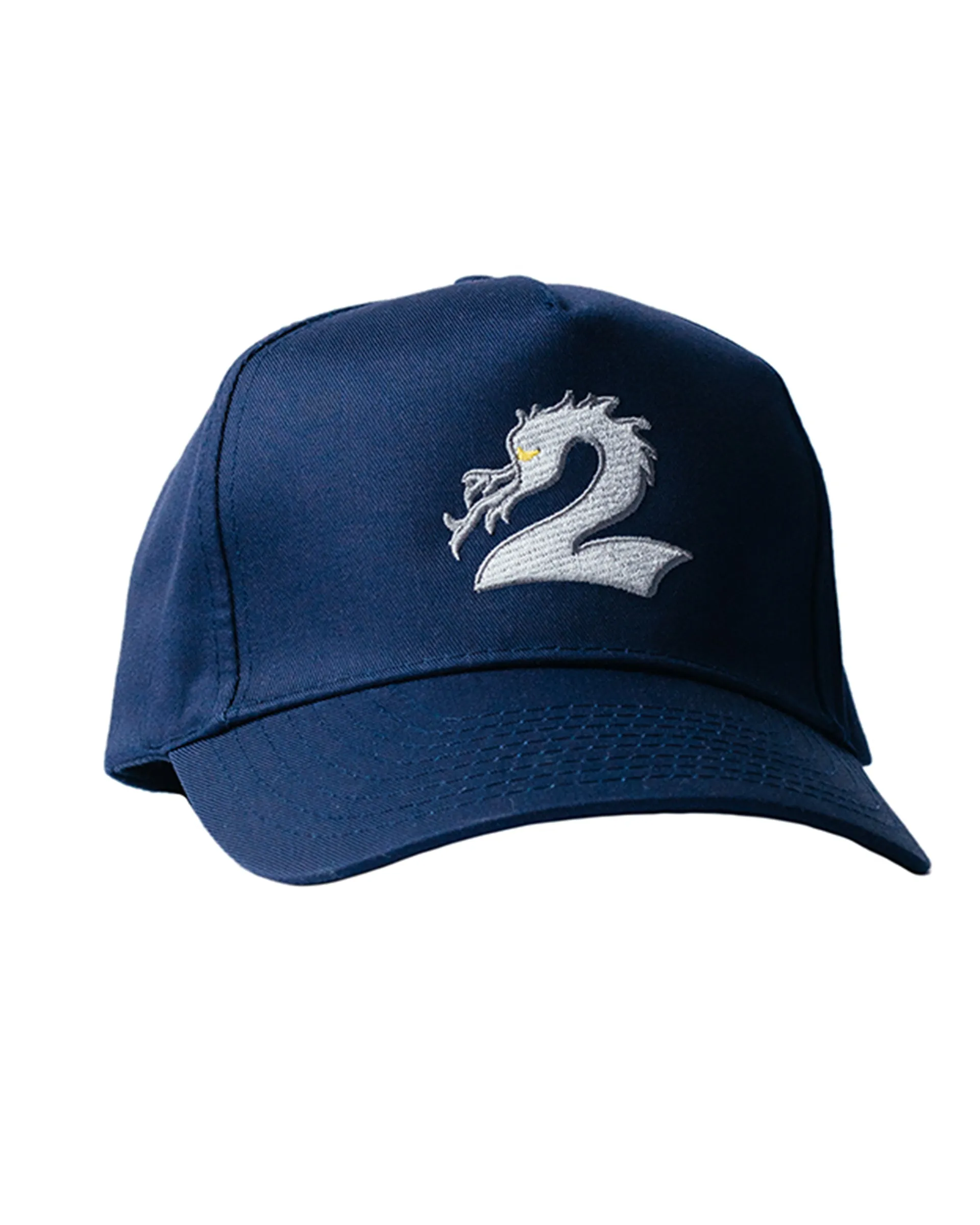 Dragon Snapback Hat