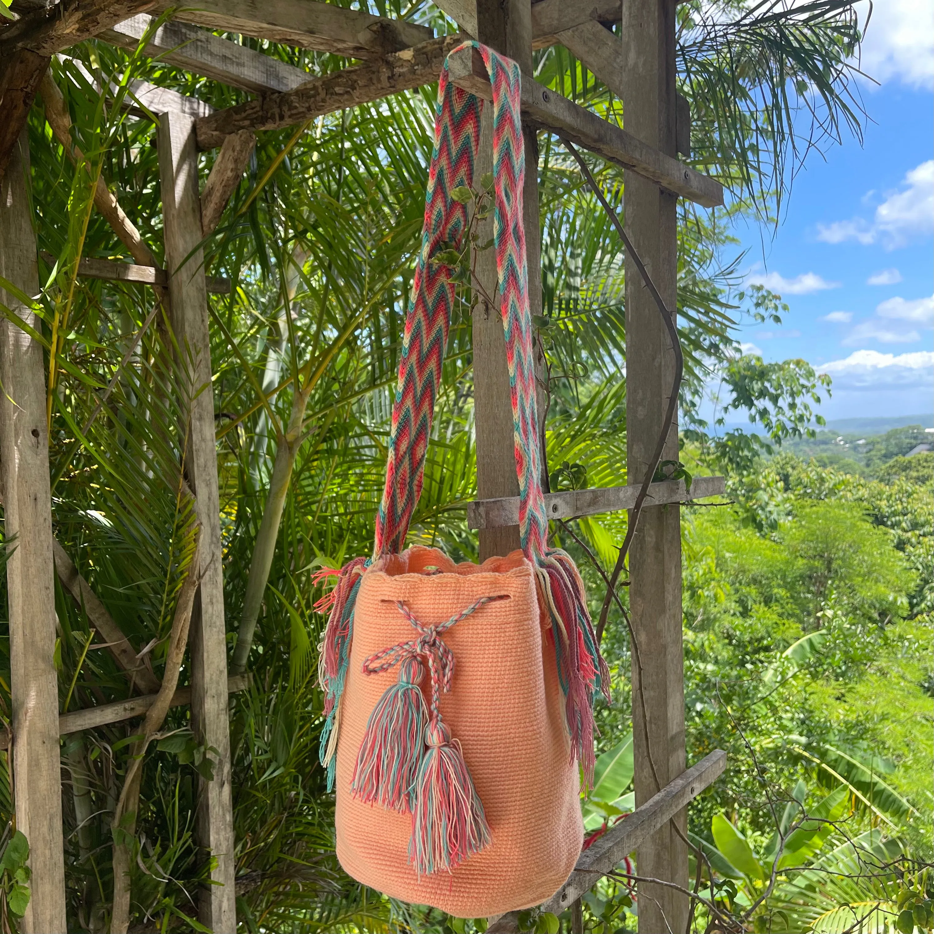 Peach Passion Mochila